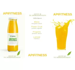 Apifitness  - nectar apicol 250ml